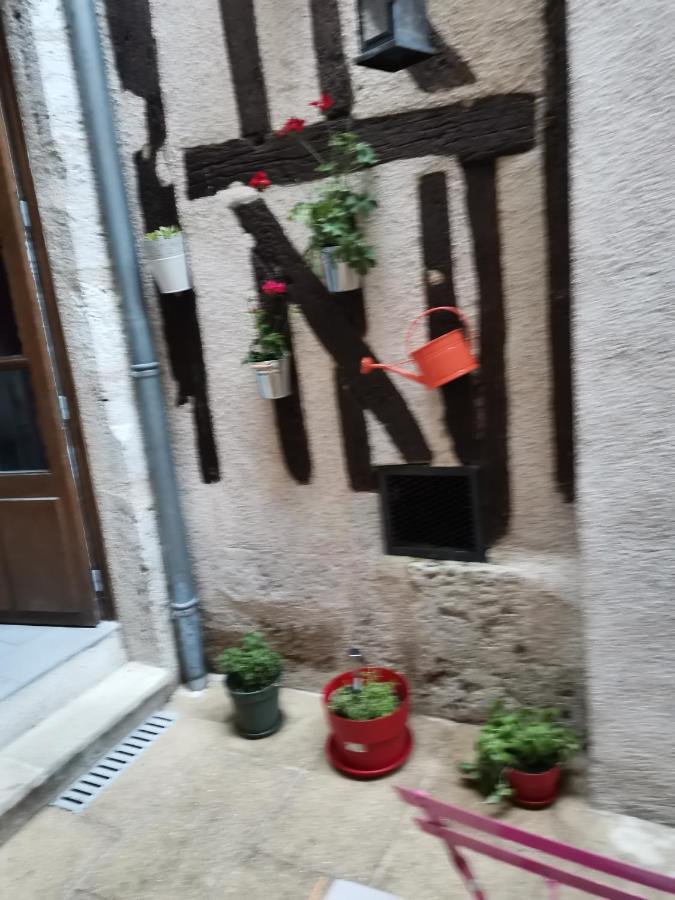 Le Nid De La Loire Apartment Blois Ngoại thất bức ảnh