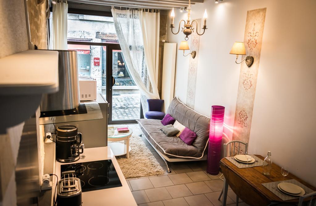 Le Nid De La Loire Apartment Blois Ngoại thất bức ảnh